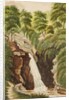 The Waterfall Ballure Glen by Unknown