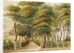 The Grove, Ramsey by Unknown