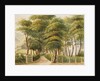 The Grove, Ramsey by Unknown