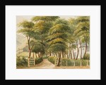 The Grove, Ramsey by Unknown