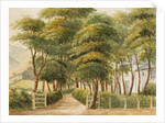 The Grove, Ramsey by Unknown