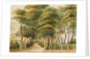 The Grove, Ramsey by Unknown