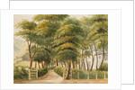 The Grove, Ramsey by Unknown
