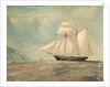 Schooner 'William' of Douglas by Anonymous