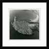Aerial view of Peel Castle taken from the west by Manx Technical Publications Ltd