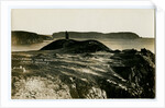 Calf Island by George Bellett Cowen