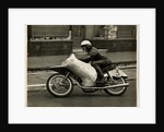 Werner Haas riding NSU number 3, 1954 125 or 250cc TT (Tourist Trophy) by T.M. Badger