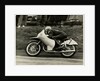 Rupert Hollans, riding NSU number 7, 1954 Lightweight TT (Tourist Trophy) by T.M. Badger