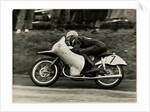 Rupert Hollans, riding NSU number 7, 1954 Lightweight TT (Tourist Trophy) by T.M. Badger