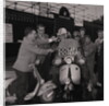 Vespa 100 laps, TT course by Manx Press Pictures