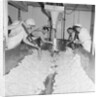 Cheese factory, Isle of Man by Manx Press Pictures