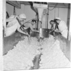 Cheese factory, Isle of Man by Manx Press Pictures