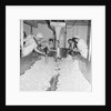 Cheese factory, Isle of Man by Manx Press Pictures