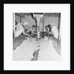 Cheese factory, Isle of Man by Manx Press Pictures