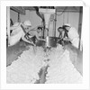 Cheese factory, Isle of Man by Manx Press Pictures