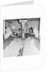 Cheese factory, Isle of Man by Manx Press Pictures