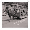 Mr & Mrs King on horse tram, Tourist Board by Manx Press Pictures