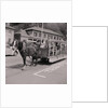 Mr & Mrs King on horse tram, Tourist Board by Manx Press Pictures
