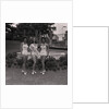 Miss Peveril by Manx Press Pictures