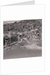 Port Erin Swimming Gala by Manx Press Pictures