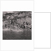 Douglas Bay Swim by Manx Press Pictures