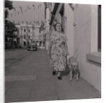 Blind woman and her guide dog by Manx Press Pictures