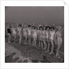 Bathing Beauties Final by Manx Press Pictures