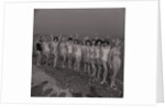Bathing Beauties Final by Manx Press Pictures