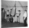 Malloy, boxing welterweight champion by Manx Press Pictures