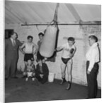 Malloy, boxing welterweight champion by Manx Press Pictures