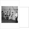 Malloy, boxing welterweight champion by Manx Press Pictures