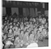 Victors Cub Festival, St Andrew's by Manx Press Pictures