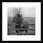 Home of Rest for Old Horses by Manx Press Pictures