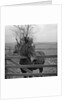 Home of Rest for Old Horses by Manx Press Pictures