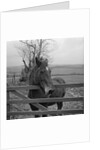 Home of Rest for Old Horses by Manx Press Pictures