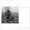 Home of Rest for Old Horses by Manx Press Pictures