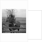 Home of Rest for Old Horses by Manx Press Pictures