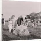 Sheep shearing by Manx Press Pictures