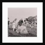 Sheep shearing by Manx Press Pictures