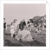 Sheep shearing by Manx Press Pictures