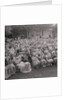 Old age pensioners concert, Villa Marina by Manx Press Pictures