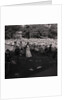 Carnival Queen crowning, Villa Marina by Manx Press Pictures