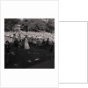 Carnival Queen crowning, Villa Marina by Manx Press Pictures