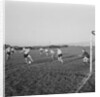 George Woods Cup Final, Peel v Rushen, Castletown by Manx Press Pictures