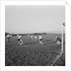 George Woods Cup Final, Peel v Rushen, Castletown by Manx Press Pictures