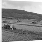 Marown ploughing match by Manx Press Pictures