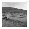 Marown ploughing match by Manx Press Pictures