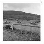 Marown ploughing match by Manx Press Pictures
