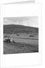 Marown ploughing match by Manx Press Pictures