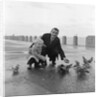 Feeding pigeons on Douglas Promenade by Manx Press Pictures